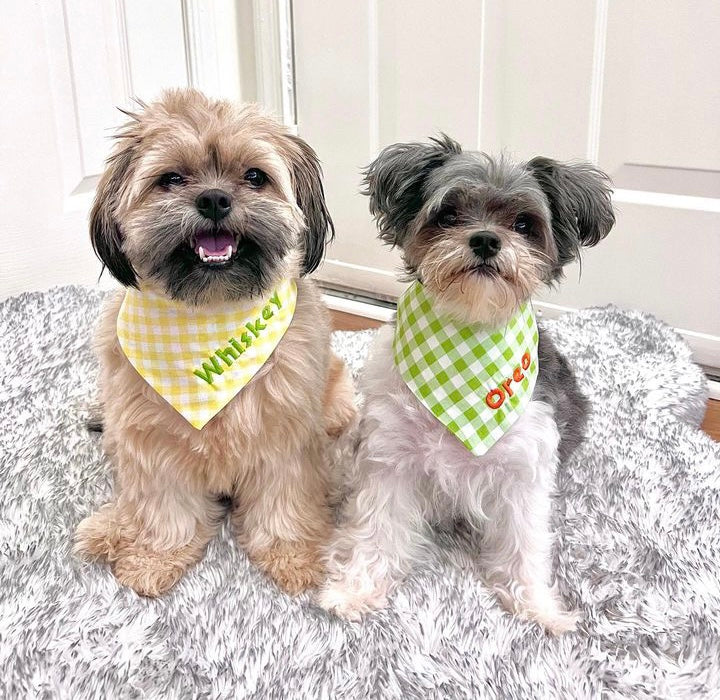 Pineapple dog bandana online